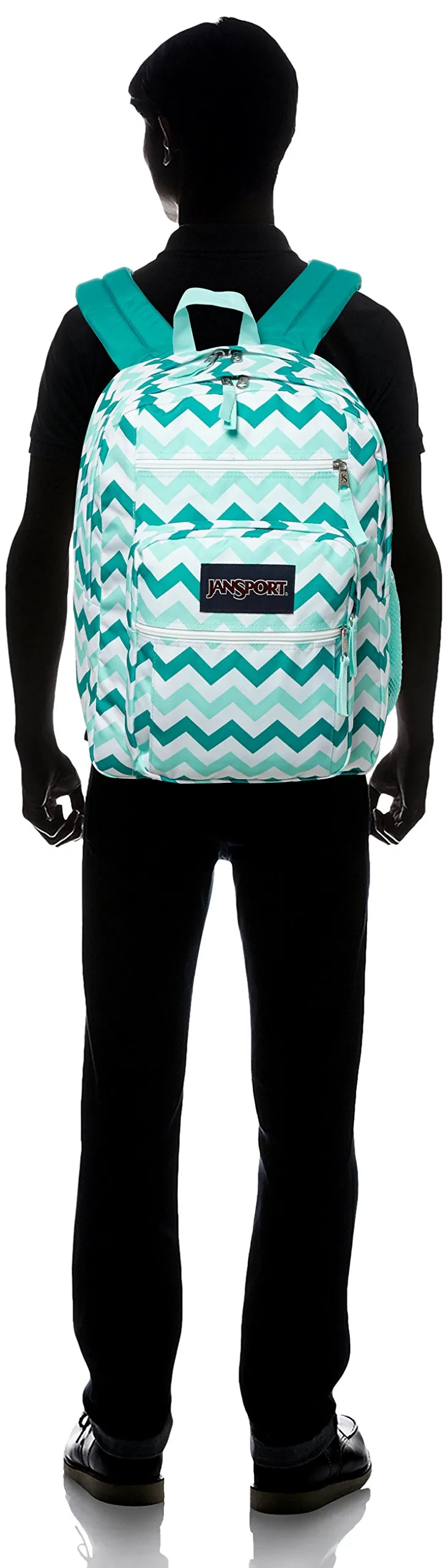 JanSport Big Student Classics Series Backpack - Aqua Dash Zuo Bisou